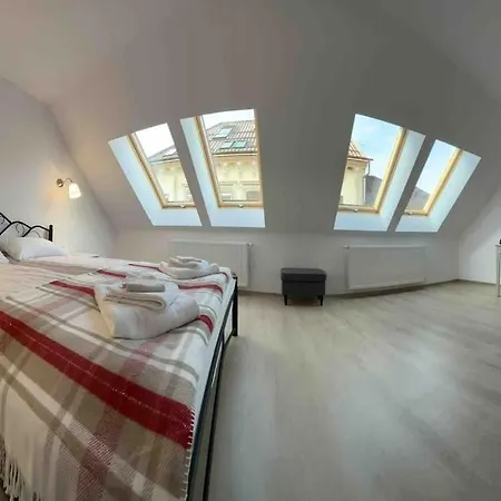 Cozy Studio, Partial Black Church View Lejlighed *
